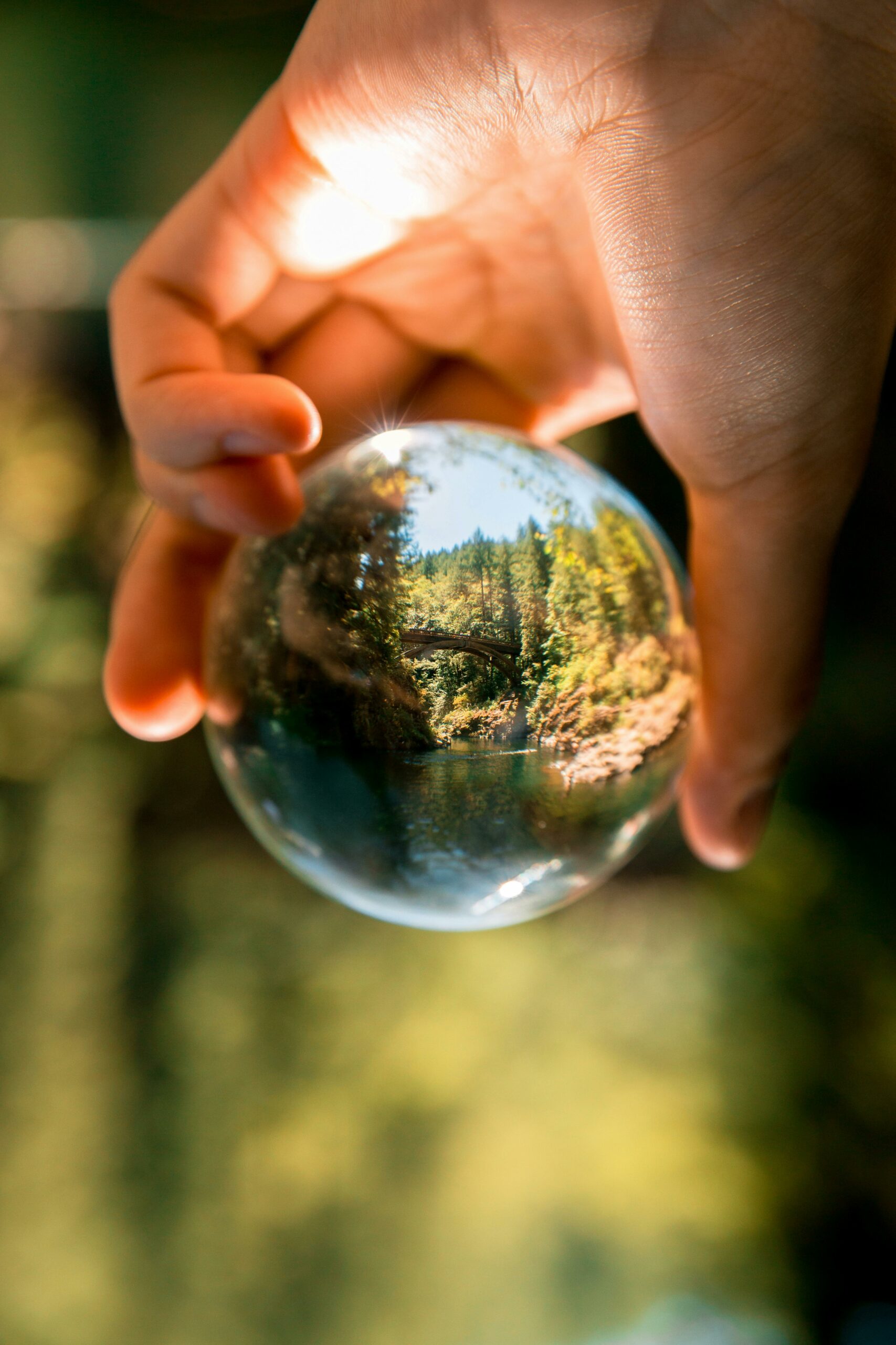 Photo d'une main avec un globe en verre grossissant la nature en arrière.